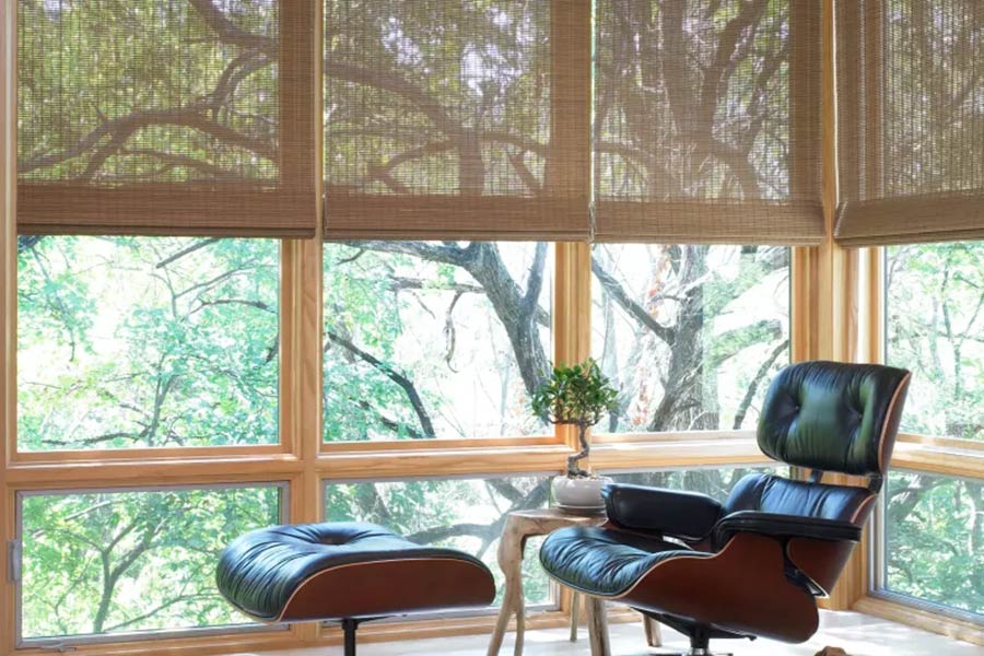 Types of Window Shades